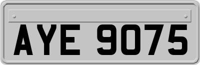 AYE9075