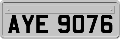 AYE9076
