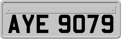 AYE9079