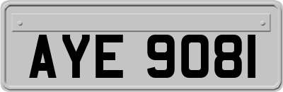 AYE9081