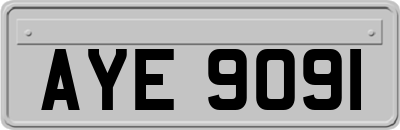 AYE9091