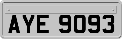 AYE9093