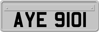 AYE9101