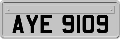 AYE9109