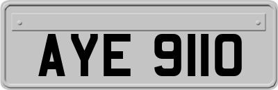 AYE9110