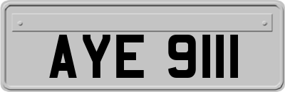 AYE9111