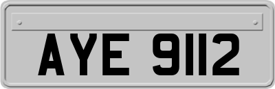 AYE9112