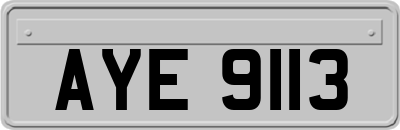 AYE9113