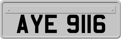 AYE9116
