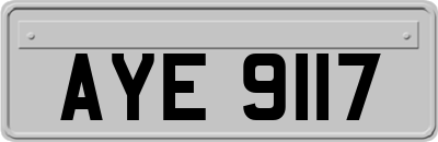 AYE9117