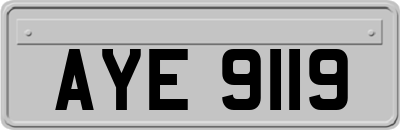 AYE9119