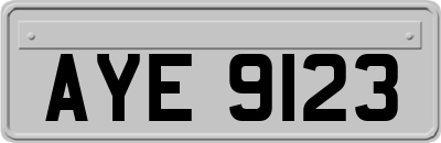 AYE9123