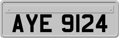 AYE9124