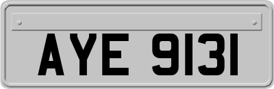 AYE9131