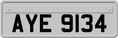 AYE9134