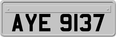 AYE9137