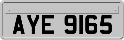 AYE9165
