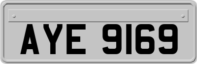 AYE9169