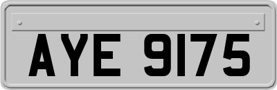 AYE9175