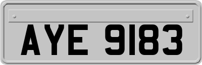 AYE9183