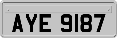 AYE9187