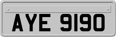 AYE9190