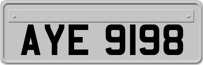 AYE9198