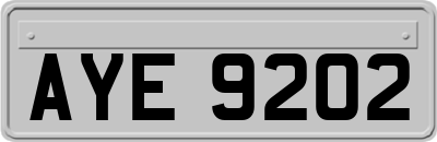 AYE9202