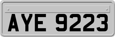 AYE9223