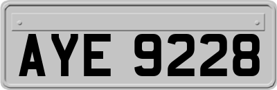 AYE9228