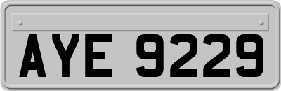 AYE9229