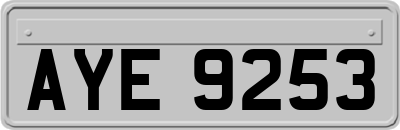 AYE9253