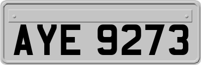 AYE9273
