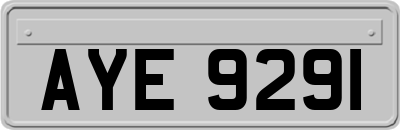 AYE9291