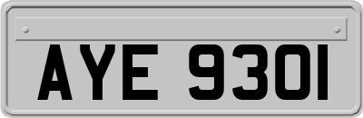 AYE9301