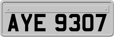 AYE9307