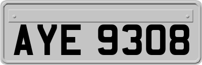 AYE9308