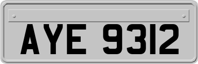 AYE9312