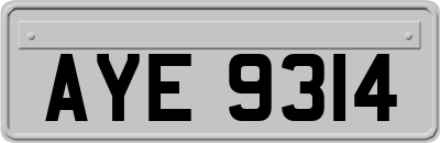 AYE9314