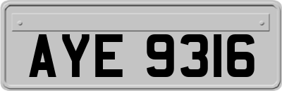 AYE9316