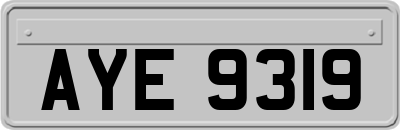 AYE9319