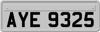 AYE9325