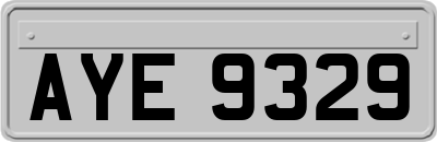AYE9329