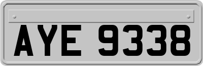 AYE9338
