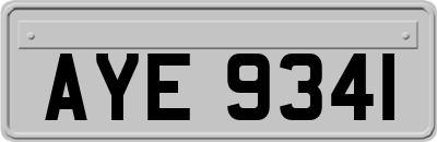 AYE9341