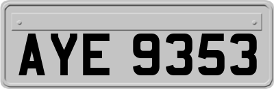 AYE9353