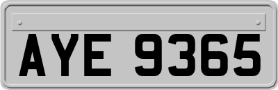 AYE9365