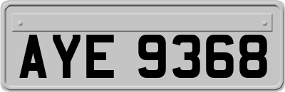 AYE9368