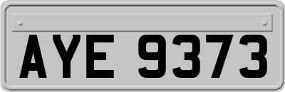 AYE9373