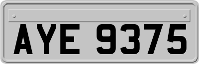 AYE9375